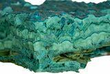 Teal Botryoidal Chrysocolla and Malachite - Chile #310148-1